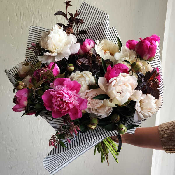 Pretty As A Peony Wrap ( Designers Choice)