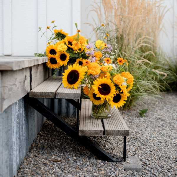 Sunflower bouquets in clear glass vases on outdoor steps