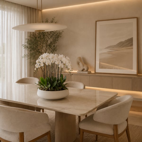 White Phalaenopsis Orchids – Same Day Orchid Arrangements