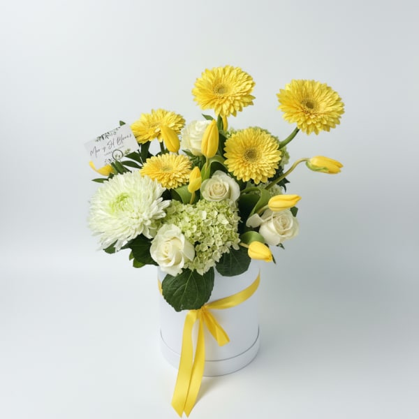 Yellow Sunshine