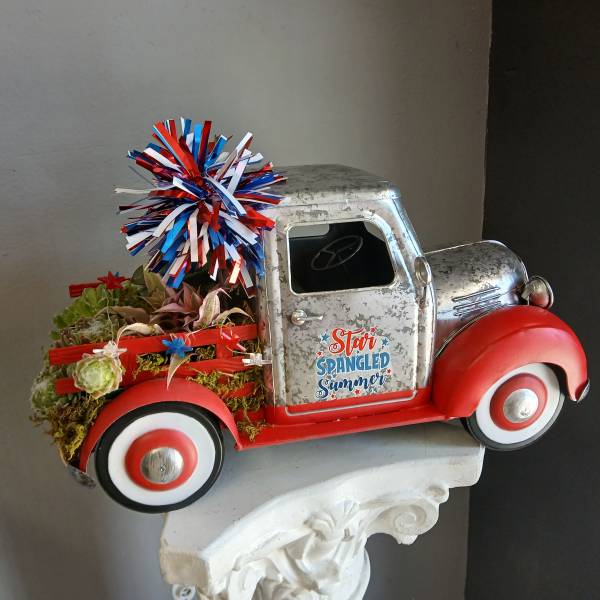Star spangled summer succulent mix PL14