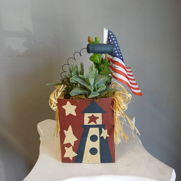 PL 28 Succulent Mix 4th