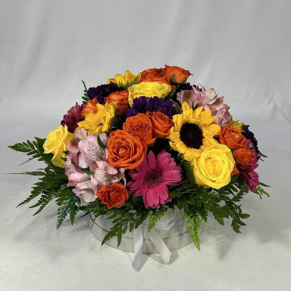 Hatbox Delight