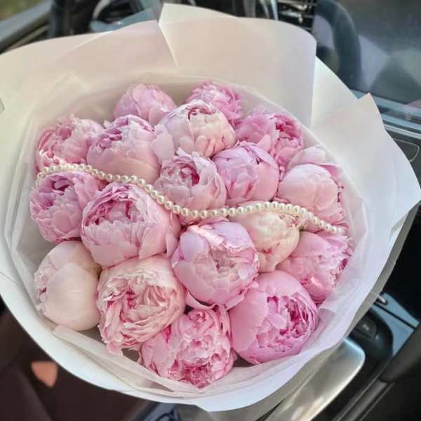 Pink peony bouquet wrapped in white paper with a pearl strand