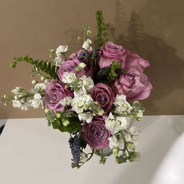 Pink Blooms