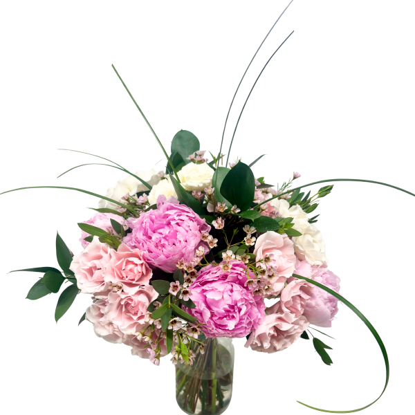 The Peony Premiere
