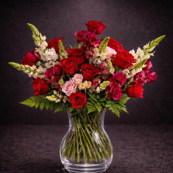 Velvet Rose