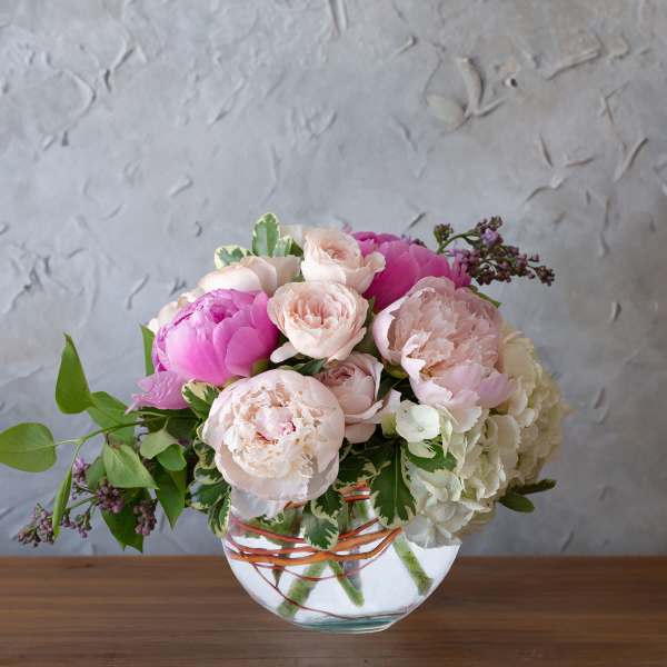 Pampered Peony