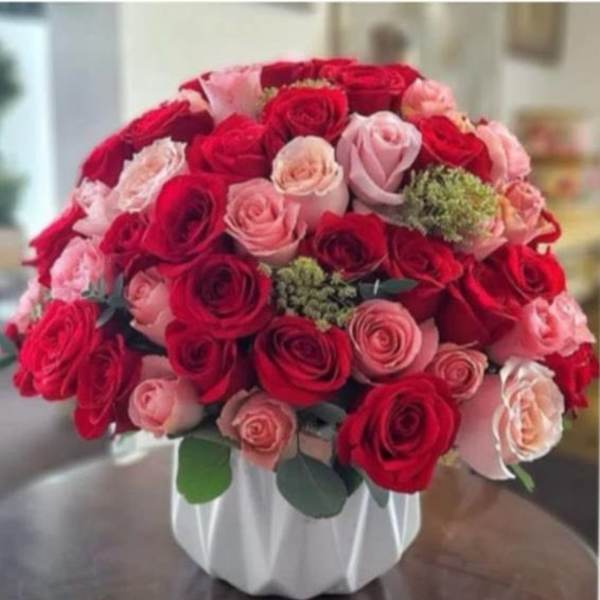 Blushing Romance Red and Pink Rose
