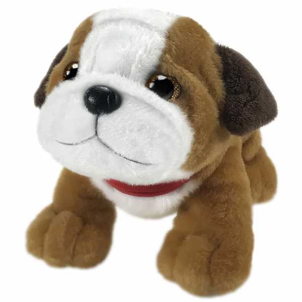 First and Main Bruno the bulldog