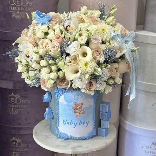 Baby boy box