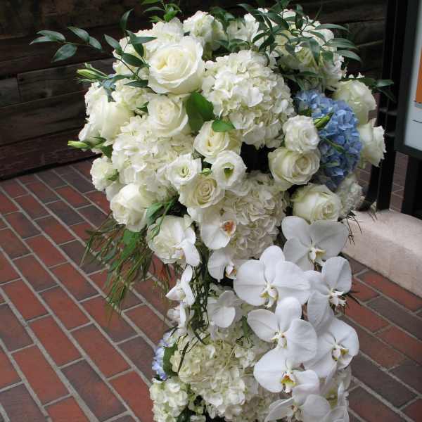 Roses Orchid #1
