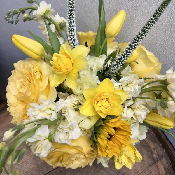 Mellow Yellow