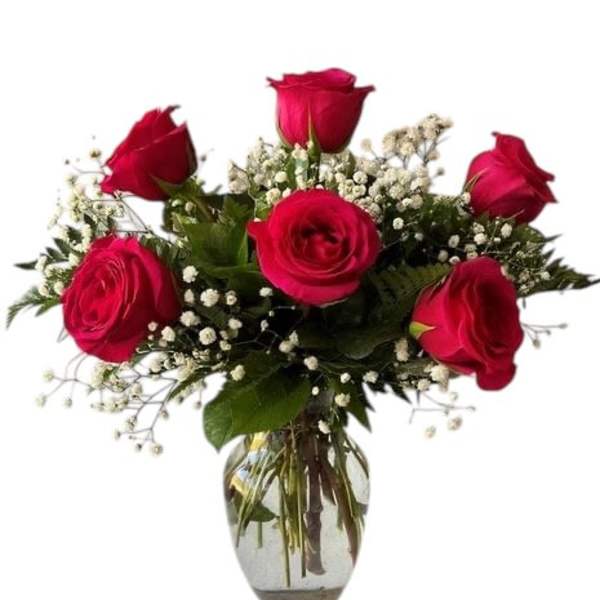 Six Roses Hot Pink