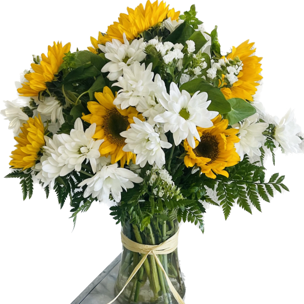 Sunflower surprise