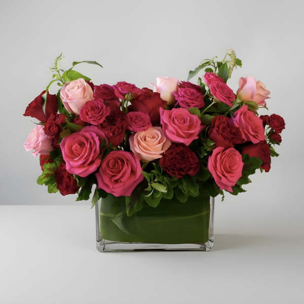 Garden of Roses