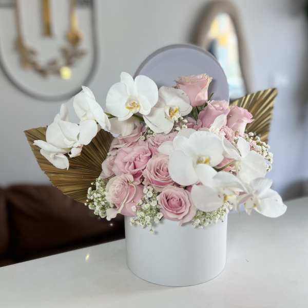 Ideas Luxury Box