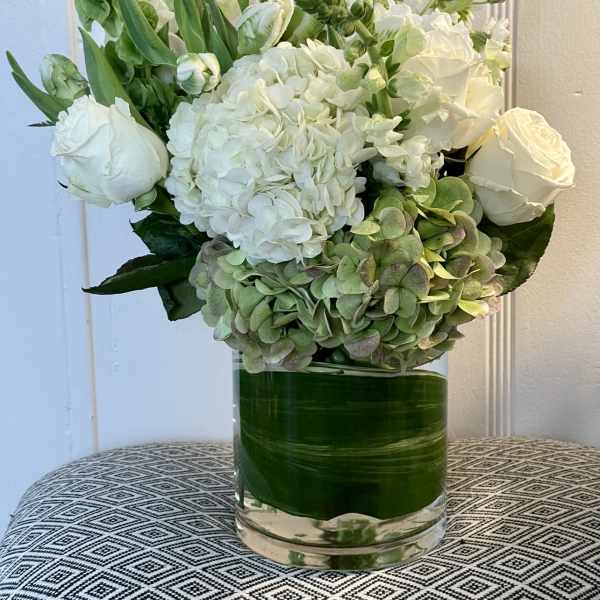 MAGIC OF WHITES