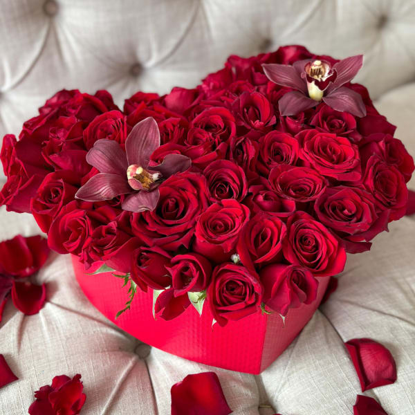 RED HEART BOX ORCHIDS