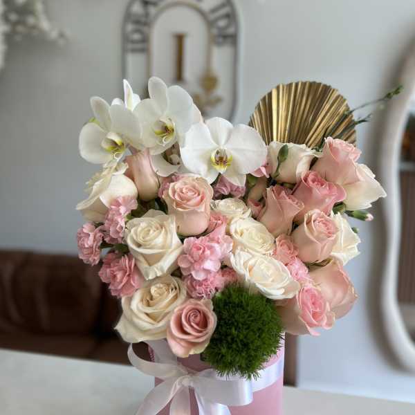 IDEAS LUXURY 2