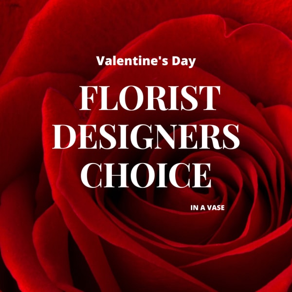 Close-up of a red rose with Valentine’s Day text overlay