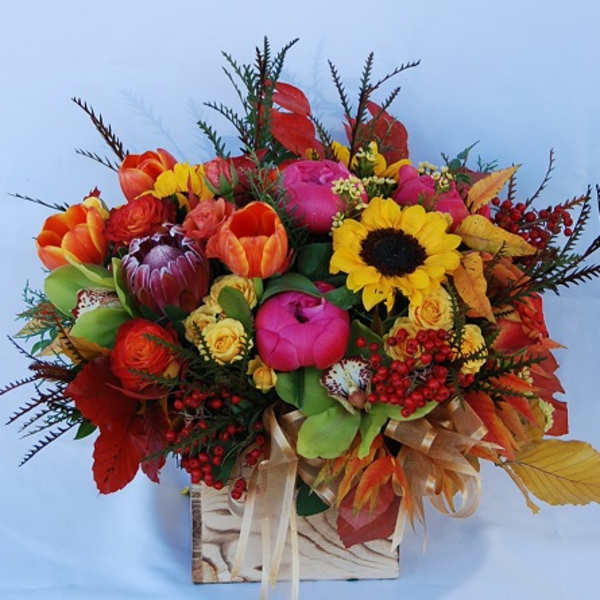 Autumn Delight