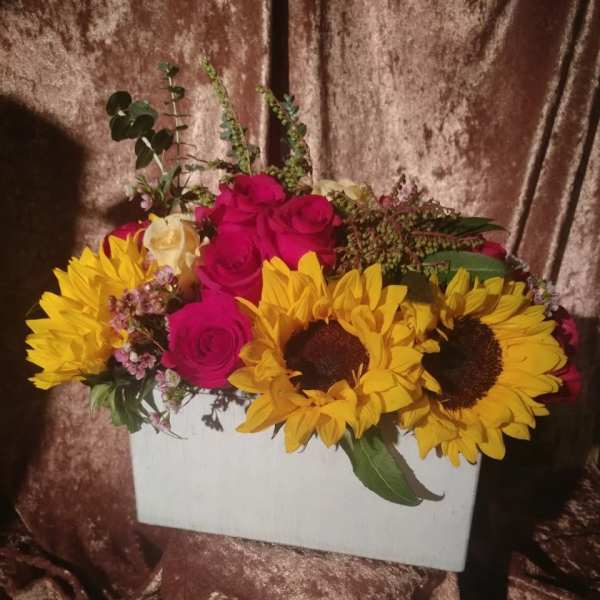 Box of Sunshine