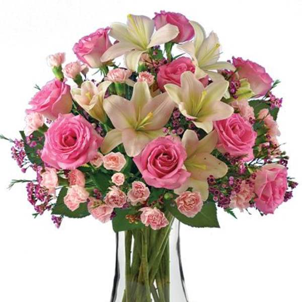 Pink Celebration
