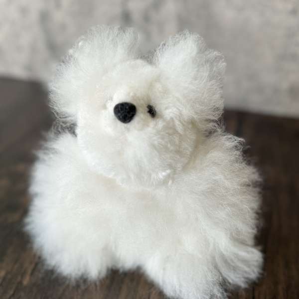 Teddy Bear