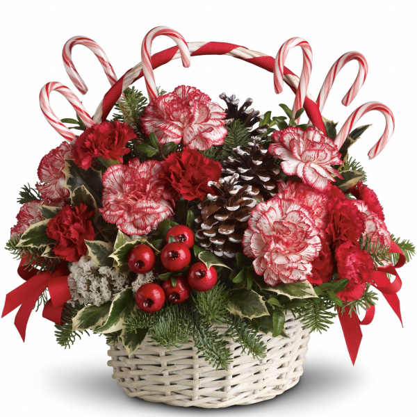 Candy Cane Christmas