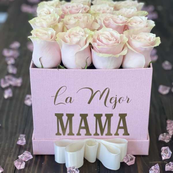 LA MEJOR MAMA