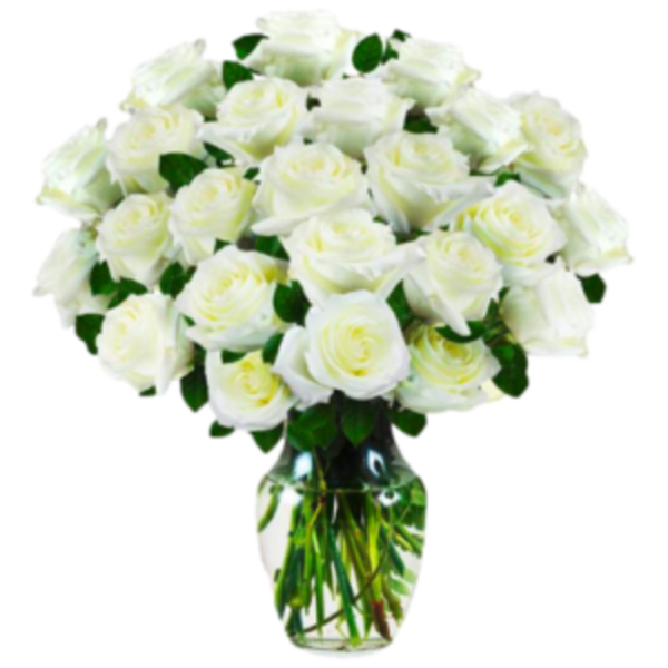 PURITY