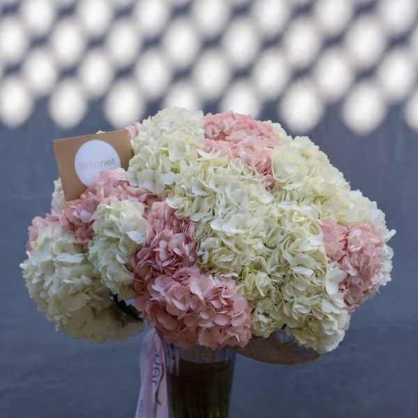 Bouquet of pink and white hydrangeas in a glass vase