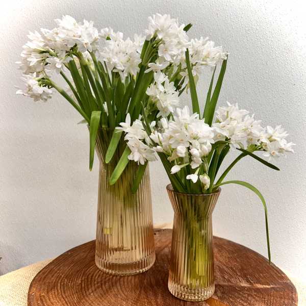 Think Spring