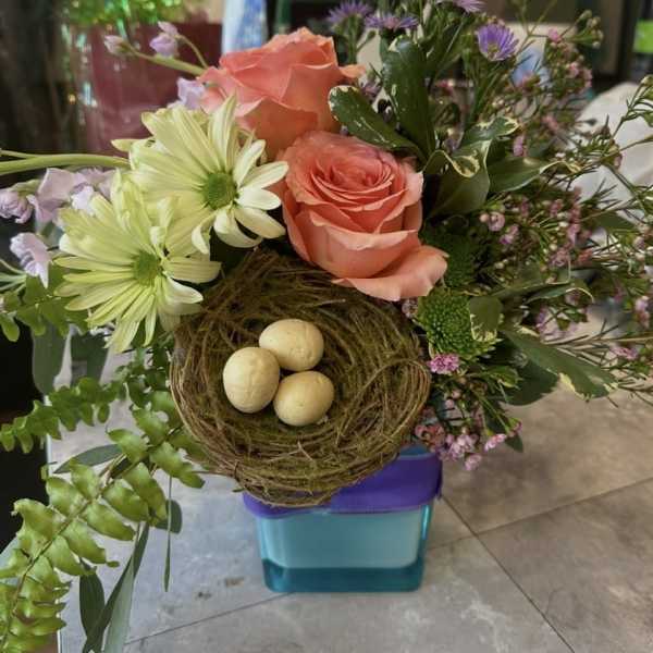SPRING HAS SPRUNG