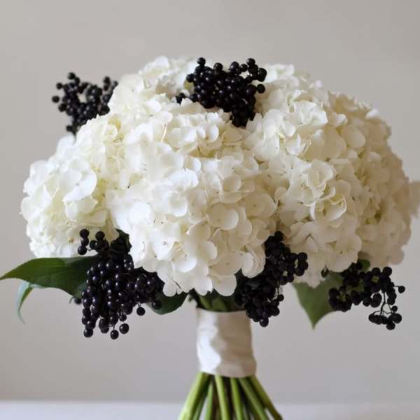 White Whisper