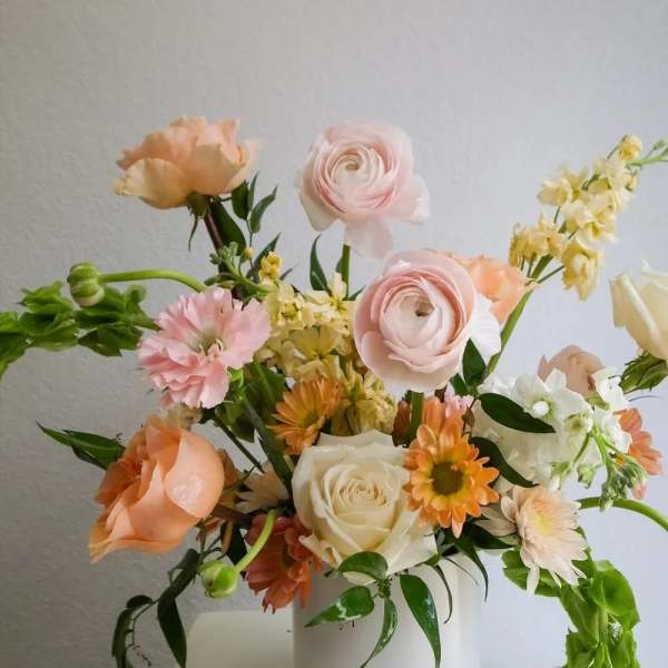 Spring Serenade