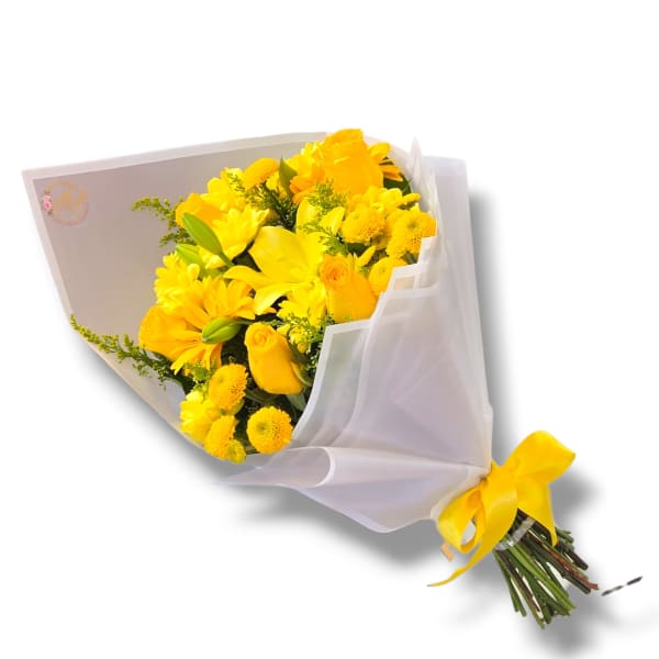 Brightness Blooms