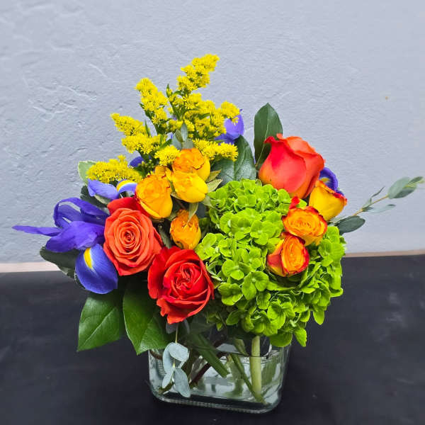 Sunset Garden Pop