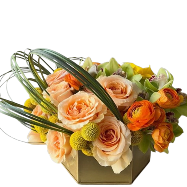 Citrus Bloom Luxe