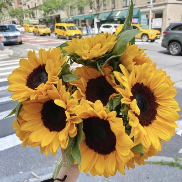 Handheld bouquet of bright yellow sunflowers