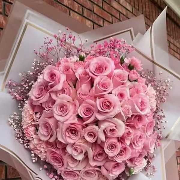 Pink Princess