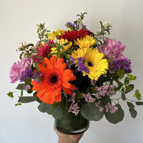 Summer Daisies