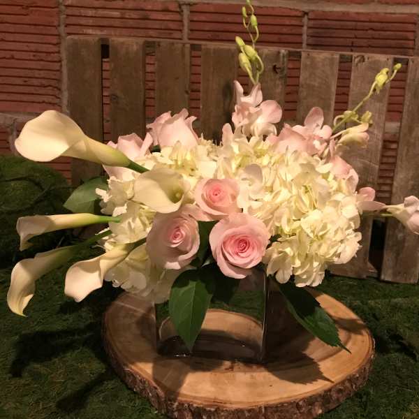 Posh Posies