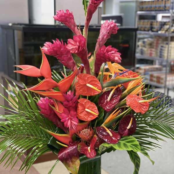 Tropical Eden