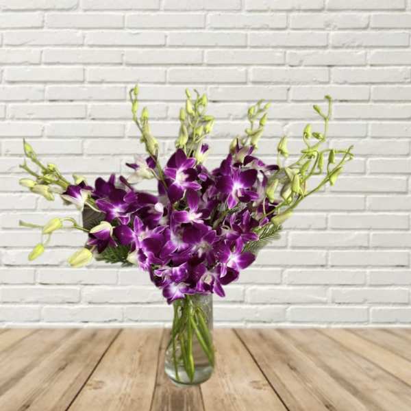 Orchid Kiss