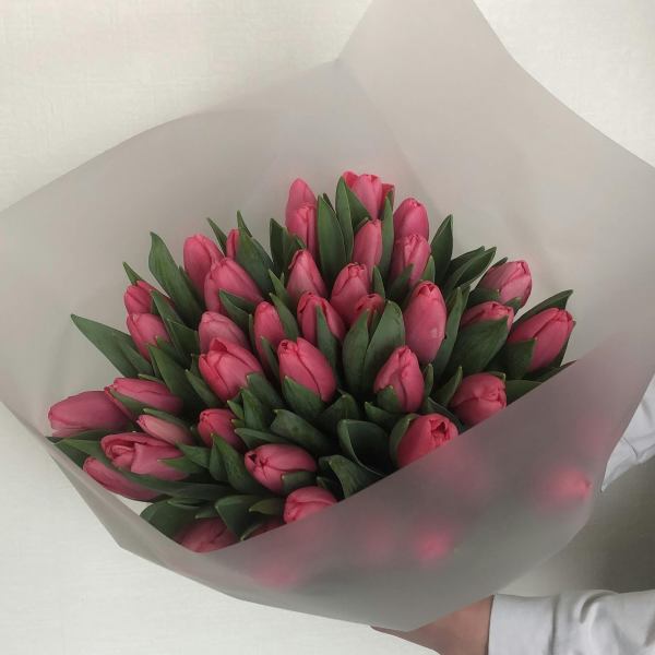 Tulips Garden