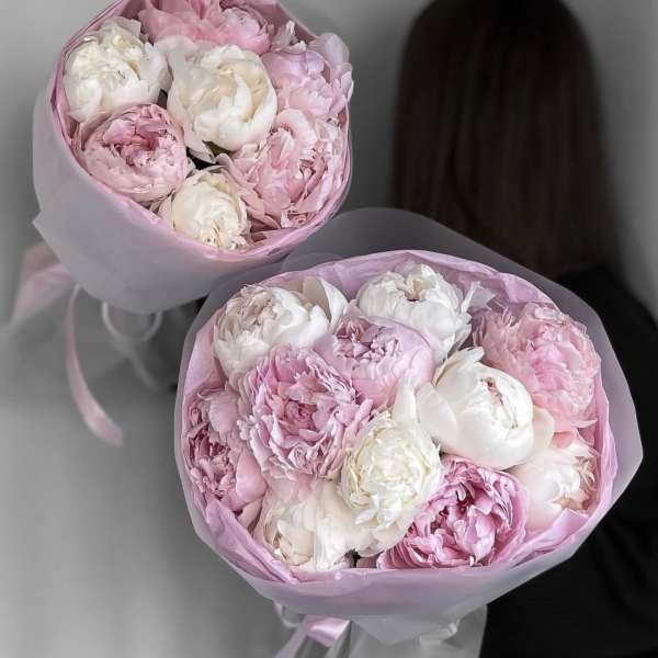 Sweet Peony Dream