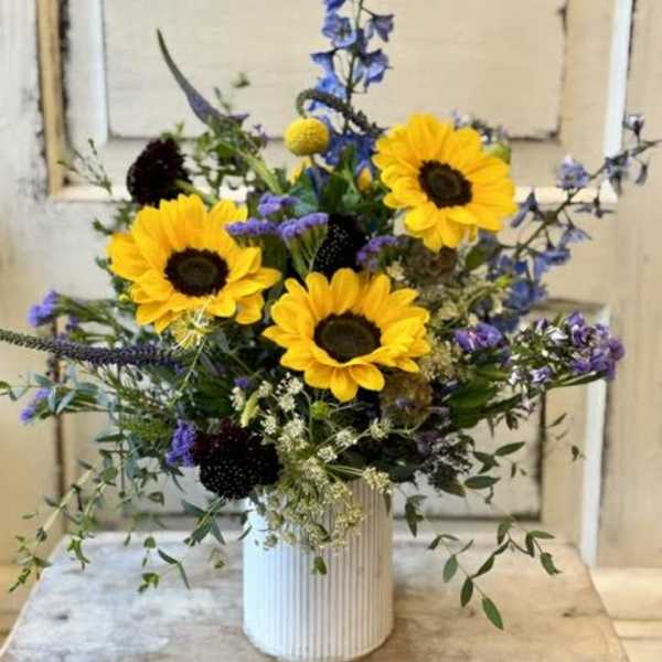 Summer Sunshine