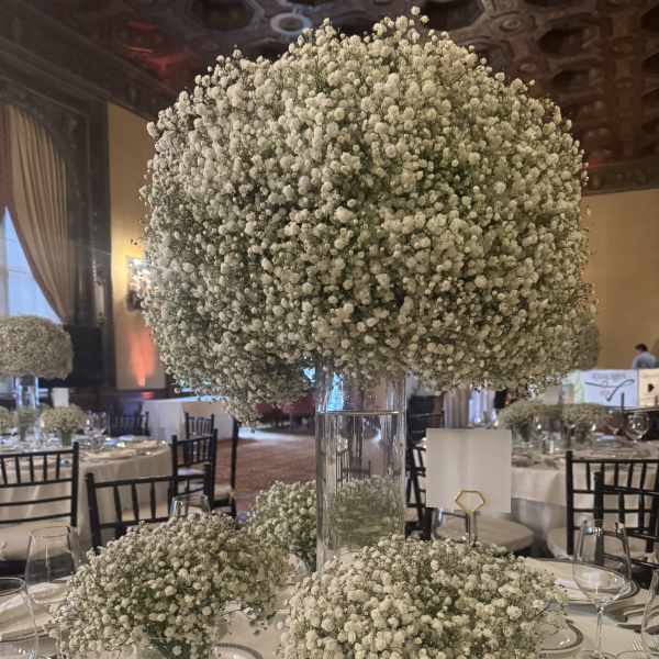Baby’s breath